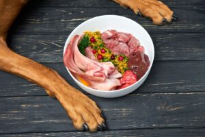 Benefits of Feeding Your Dog a Raw Food Diet