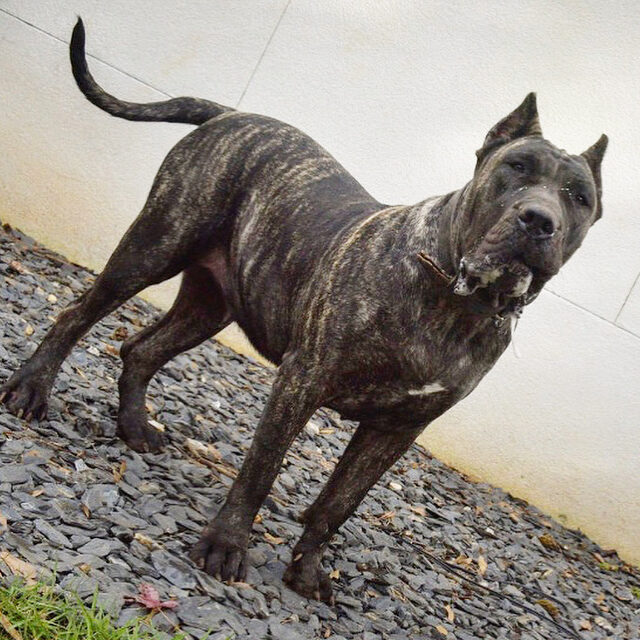 59A821C1-62D9-40A6-B12B-1D078A7576B7